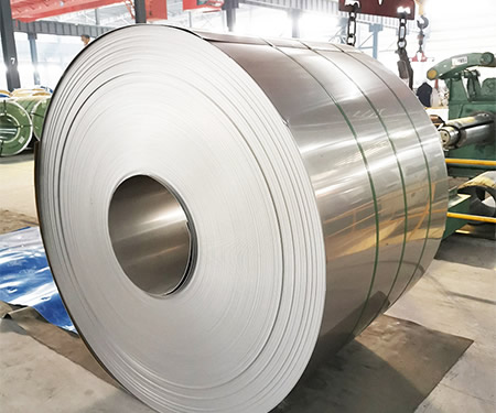 Stainless Steel Coil/Strip